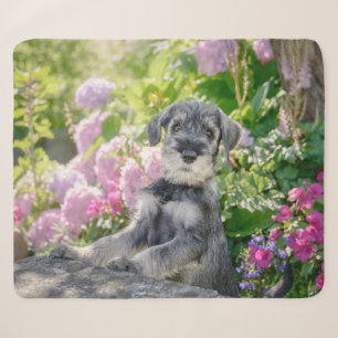 Standard Schnauzer Puppy in a Flowering Garden Sherpa Blanket