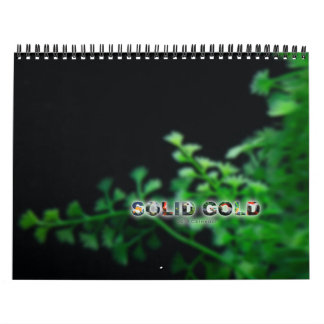 Standard Size 2016 SOLID GOLD Goldfish Calendar