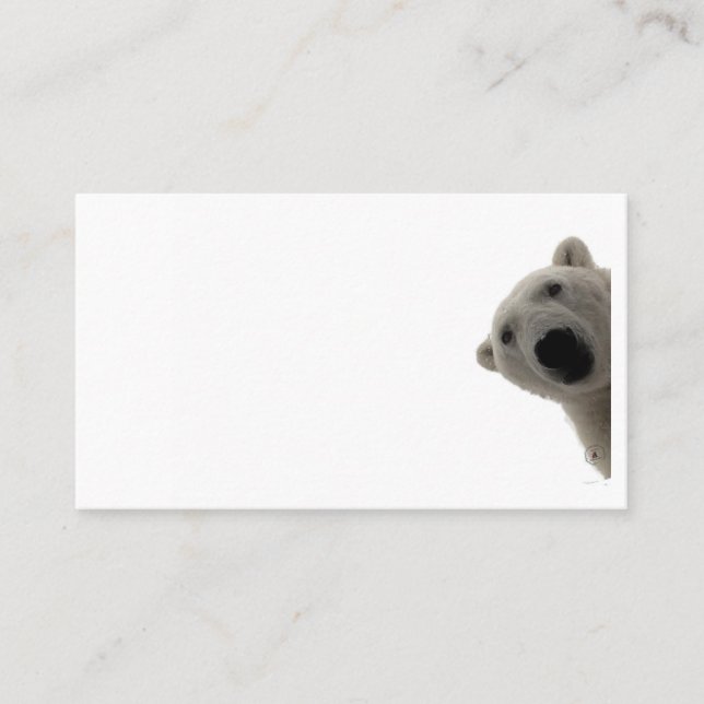 Standard Size Business Card, 3.5" x 2.0" Card (Front)