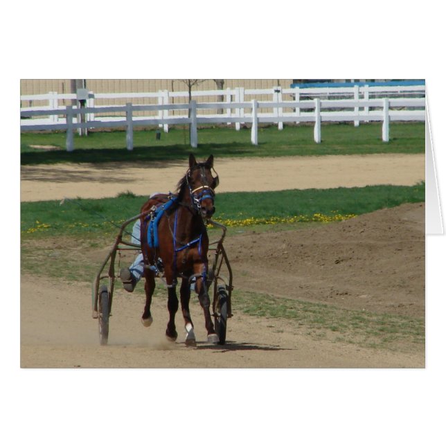 Standardbred (Front Horizontal)
