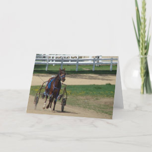 Standardbred Card