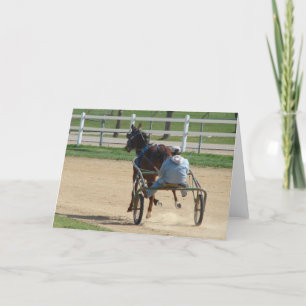 Standardbred Card