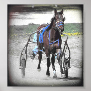 Standardbred Poster