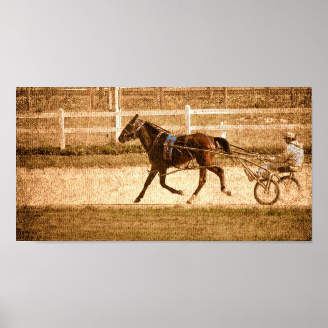 Standardbred Poster (Front)