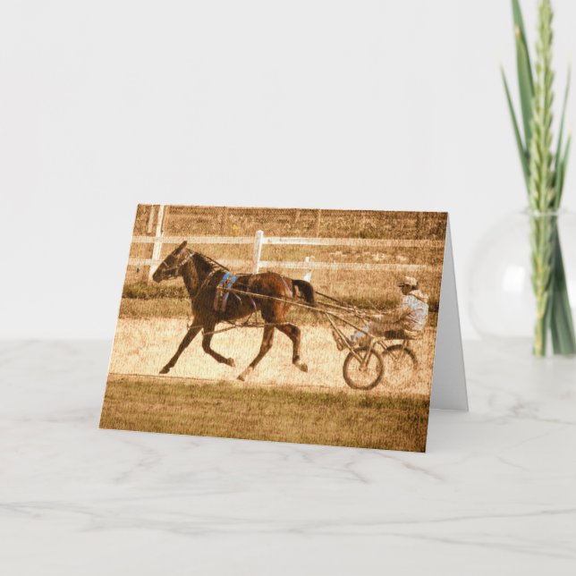 Standardbred Race Horse, Grunge Card (Front)