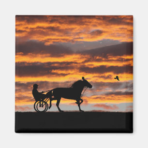 Standardbred, Trotting Racehorse Magnet