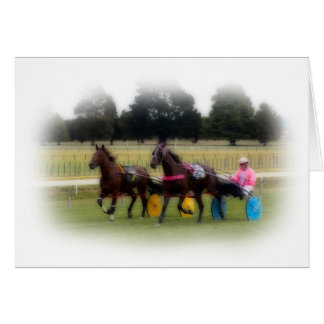 Standardbreds at the Racetrack