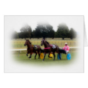 Standardbreds au champ de courses