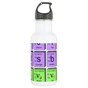 Standart model of elementary particles 532 ml water bottle