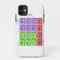 Standart model of elementary particles