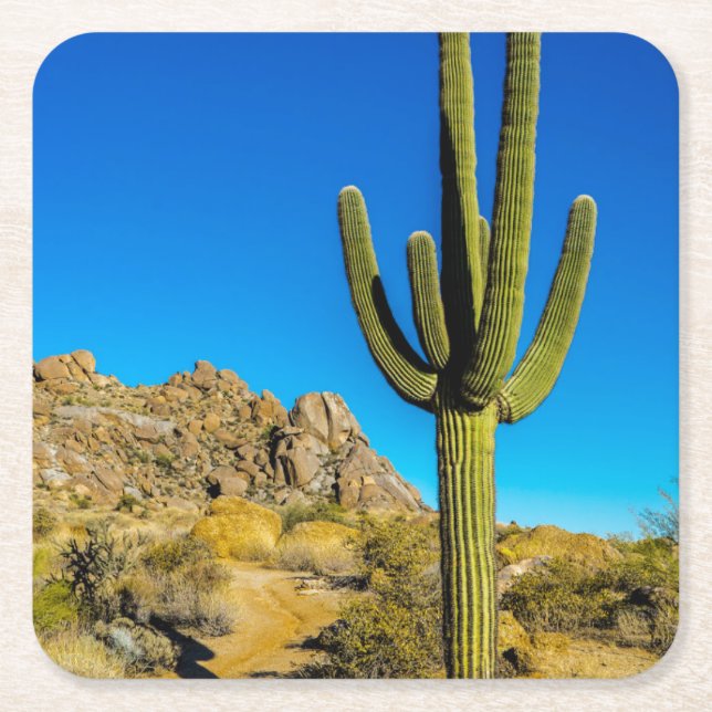 Standing Cactus Square Paper Coaster (Front)