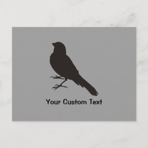 Standing Canary Bird Postcard