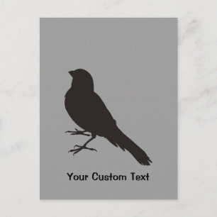 Standing Canary Bird Postcard