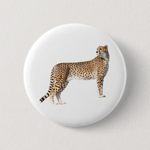 Standing cheetah 2 inch round button