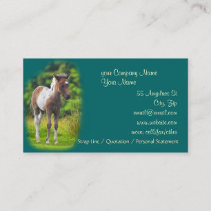 Standing Dartmoor Pony Foal business card