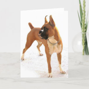 Standing fawn boxer greeting card