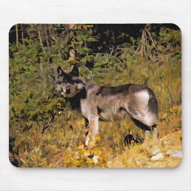 Standing Grey Wolf & Forest Wildlife Photo Art Mouse Pad (Front)