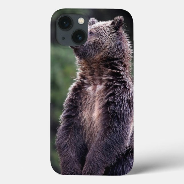 Standing Grizzly Bear Case-Mate iPhone Case (Back)