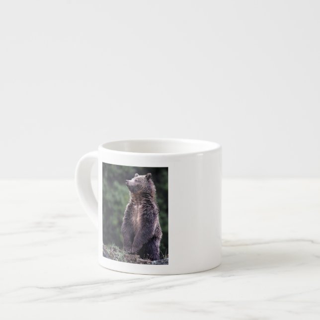 Standing Grizzly Bear Espresso Cup (Front Left)