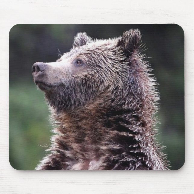 Standing Grizzly Bear Mouse Pad (Front)