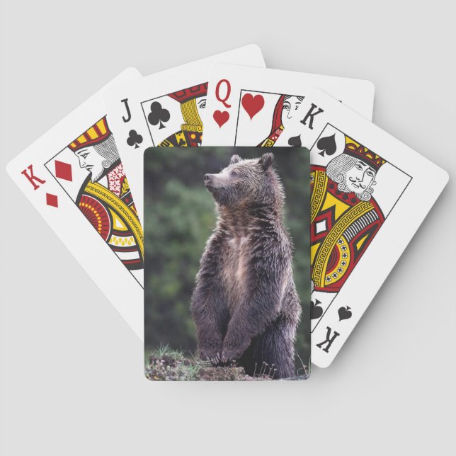 Standing Grizzly Bear Playing Cards (Back)