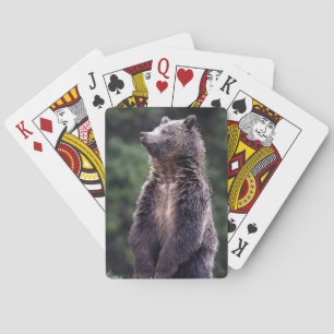 Standing Grizzly Bear Playing Cards