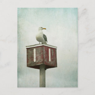 Standing Guard Postcard