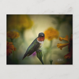 Standing Guard Postcard
