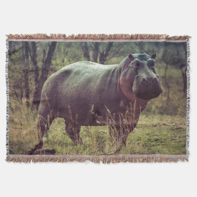 Standing Hippo Posing at Camera in Africa Foliage Throw Blanket (Front)