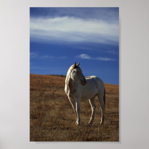 Standing Horse Poster