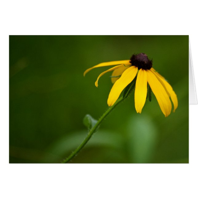 Standing Out Card (Front Horizontal)