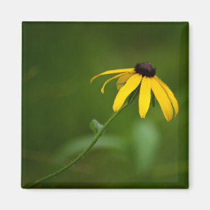Standing Out Magnet