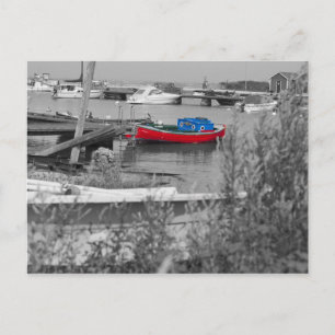 Standing Out Postcard