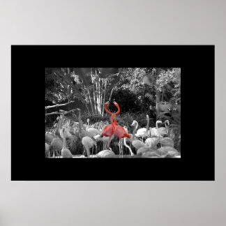 Standing Out Poster