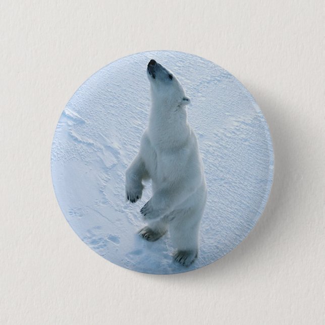 Standing Polar Bear 2 Inch Round Button (Front)