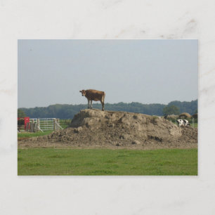 Standing pretty Postcard