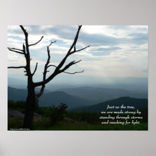 Standing/Reaching Poster