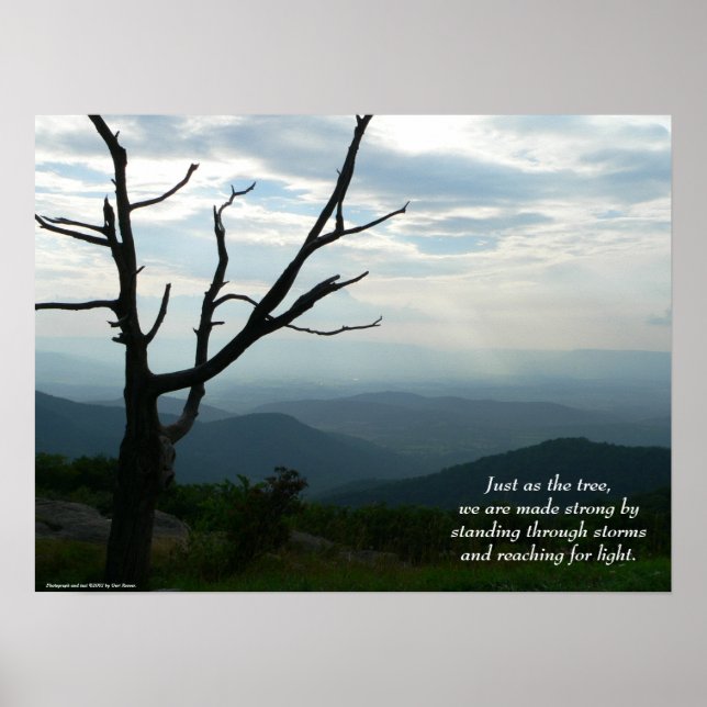 Standing/Reaching Poster (Front)