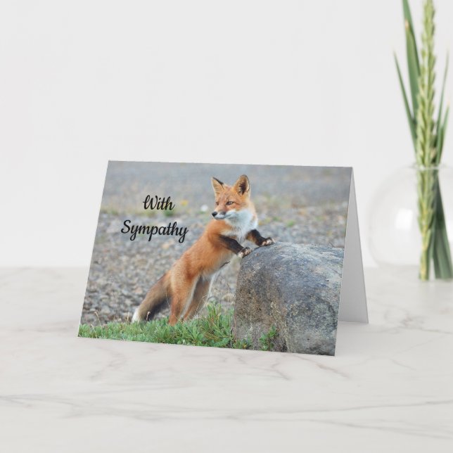 Standing Red Fox  Sympathy Card (Front)