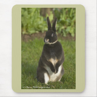Standing Rex Rabbit Mouse Pad
