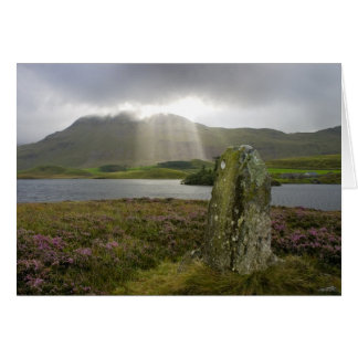 Standing stone