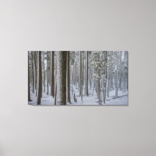 Standing Tall #1 Canvas Print