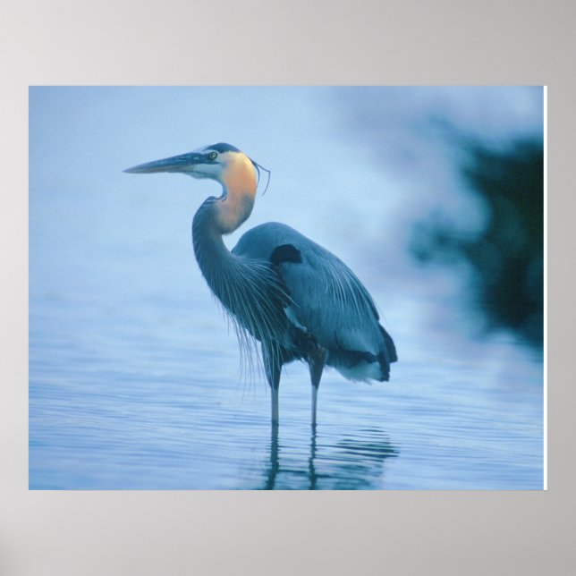 Standing Tall Poster (Front)