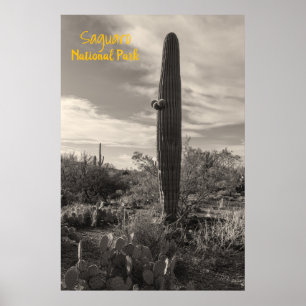 Standing Tall Poster