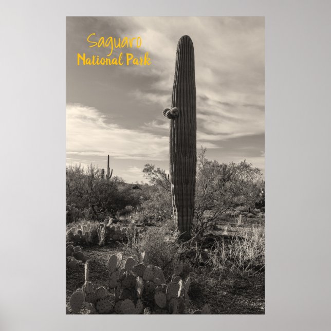 Standing Tall Poster (Front)