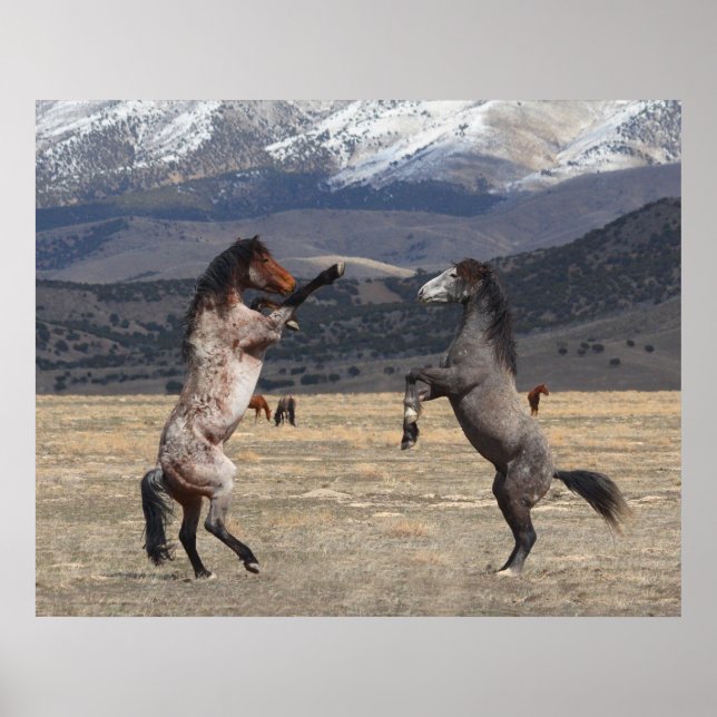 Standing Tall Poster (Front)