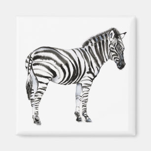 Standing Zebra Magnet