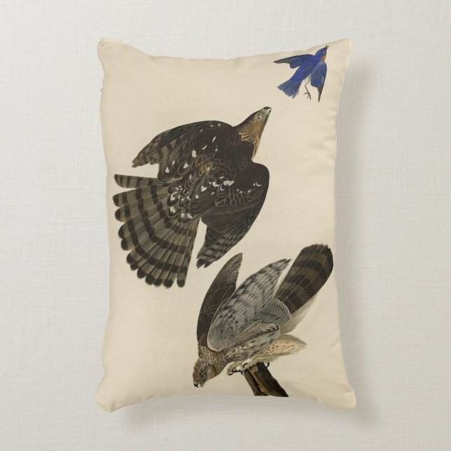 Stanley (Cooper's) Hawk Audubon's Birds of America Accent Pillow (Front(Vertical))