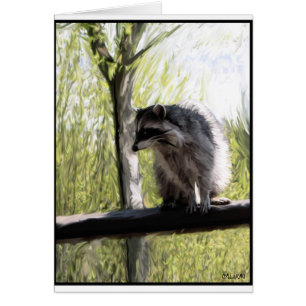 Stanley Park "Rocky" le Raccoon Gylliayn Art