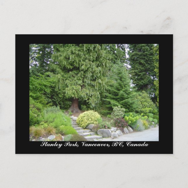 Stanley Park, Vancouver, BC postcard (Front)